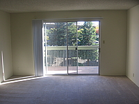 Photo24675