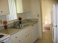 Photo25674