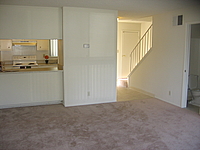 Photo25675